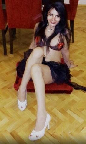 Ankara Escort Araştırma